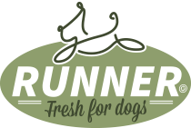 runner-logo